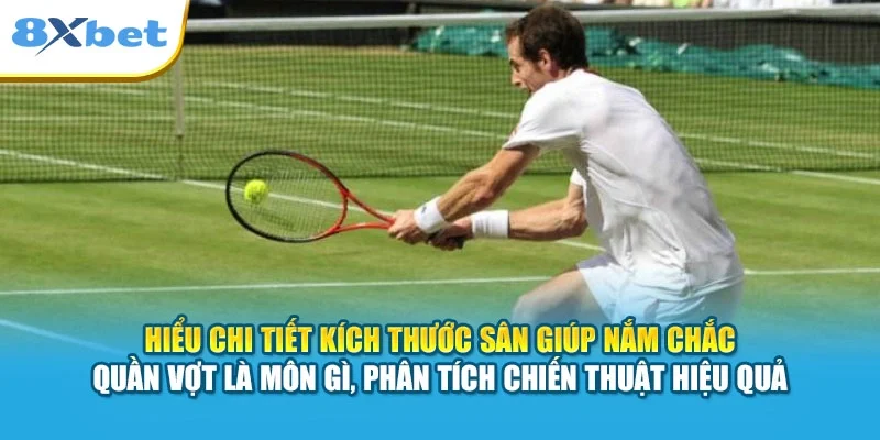 Hiểu chi tiết kích thước sân giúp nắm chắc quần vợt là môn gì, phân tích chiến thuật hiệu quả