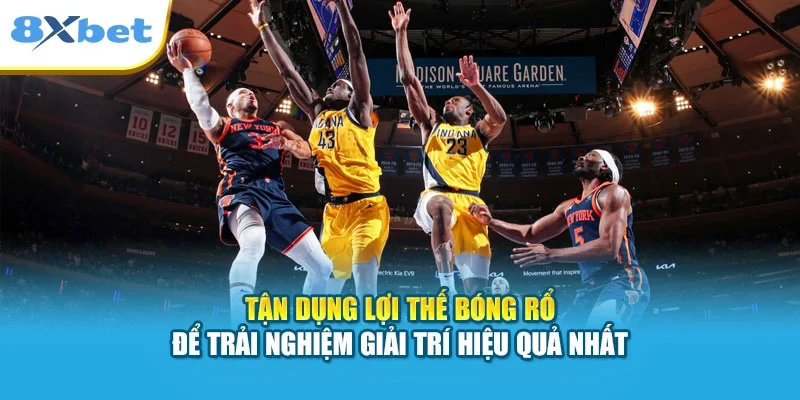 Tận dụng lợi thế bóng rổ để trải nghiệm giải trí hiệu quả nhất
